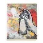 Тетрадь 48 листов в клетку "Супер МИКС", двойная обложка: 1-ая прозрачный пластик, 2-ая мелованная бумага, поля, блок белый офсет - фото 24247894