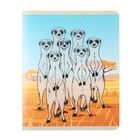 Тетрадь 48 листов в клетку "Супер МИКС", двойная обложка: 1-ая прозрачный пластик, 2-ая мелованная бумага, поля, блок белый офсет - фото 24247896