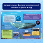 Энциклопедия в твёрдом переплёте «Подводный мир», 48 стр. - Фото 3