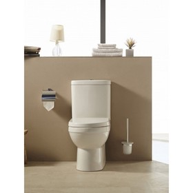 

Бачок для унитаза Bravat New Moon CY01019W-S-RUS, 2 режима, белый