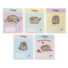 Тетрадь 24 листа в клетку Pusheen, обложка мелованный картон, выборочный УФ лак, блок офсет, МИКС 9734919 - фото 10566997