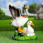 Садовая фигура "Утка с селезнем" 35см - Фото 1