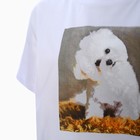 Футболка женская принт «Английская болонка», белая, размер 48 - фото 22290288