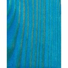 Морилка акриловая 120 мл, ЗХК "Декола", Голубая №513, 25733513 - фото 24567628