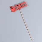 Набор топперов "До свидания, школа!", 11х28 см, красный, 10 шт. - фото 805595856