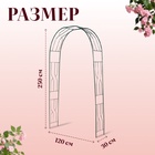 Арка садовая, 250×120×30 см, для вьющихся растений, металлическая, зелёная - Фото 6