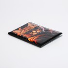 Обложка для паспорта, цвет коричневый (комплект 2 шт) - фото 22860341