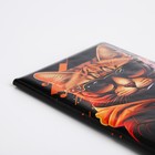 Обложка для паспорта, цвет коричневый (комплект 2 шт) - фото 23358632