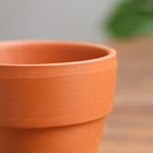 Горшок цветочный "Конус мини" 0,15 л - фото 31034974