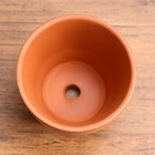 Горшок цветочный "Конус мини" 0,15 л - фото 31034975