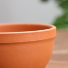 Горшок цветочный "Астра" 0,6 л - фото 24544107