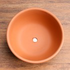 Горшок цветочный "Астра" 0,6 л - фото 24544108