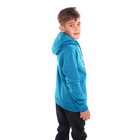 Толстовка для мальчика НАЧЁС, цвет изумруд/панда, рост 140 см - фото 51985798