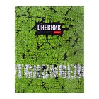 Дневник для 5-11 классов "Яркий гранж", твердая обложка, глянцевая ламинация, со справочной информацией, 48 листов 9525399 - фото 10570279