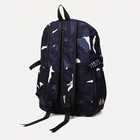 Рюкзак школьный из текстиля на молнии, 4 кармана, цвет синий - фото 53038160