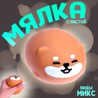 Антистрессс игрушка «Котик», мялка с пастой, виды МИКС - Фото 1