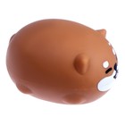 Антистрессс игрушка «Котик», мялка с пастой, виды МИКС - Фото 3