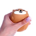 Антистрессс игрушка «Котик», мялка с пастой, виды МИКС - Фото 5