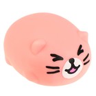 Антистрессс игрушка «Котик», мялка с пастой, виды МИКС - Фото 9