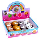 Антистрессс игрушка «Котик», мялка с пастой, виды МИКС - Фото 10