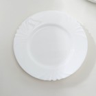 Набор обеденных тарелок Luminarc CADIX, d=25 см, стеклокерамика, 6 шт, цвет белый - фото 4381764