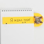 Закладка для книг «Кото-пес» с защипом ,картон, 6 см х 19 см. (комплект 10 шт) - фото 22292735