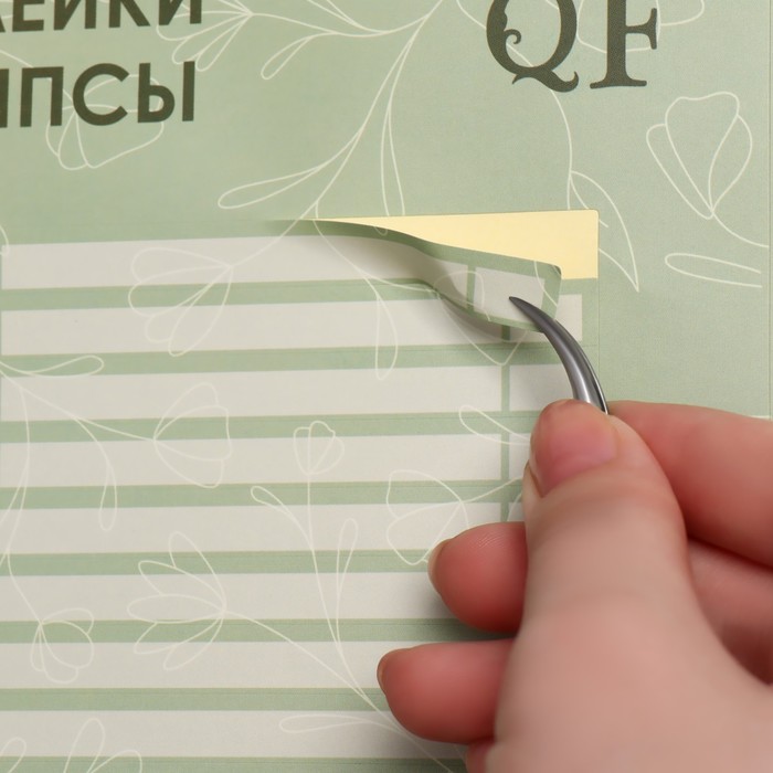 Наклейки на типсы «Flora» 21,5 х 30,5/8,3 х 0,9 см, 50 шт на листе, цвет зелёный 36047