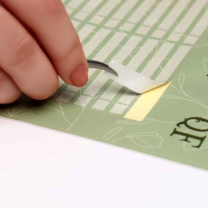 Наклейки на типсы «Flora» 21,5 х 30,5/8,3 х 0,9 см, 50 шт на листе, цвет зелёный 36047