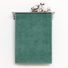 Полотенце махровое с бордюром 70х140 см, зелёный, хлопок 100%, 430г/м2 - фото 1767024