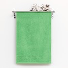 Полотенце махровое с бордюром 70х140 см, классический зелёный, хлопок 100%, 430г/м2 - фото 319824134