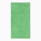 Полотенце махровое с бордюром 70х140 см, классический зелёный, хлопок 100%, 430г/м2 - фото 22547120