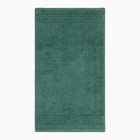 Полотенце махровое с бордюром 50х90 см, зелёный, хлопок 100%, 430г/м2 - фото 24385948