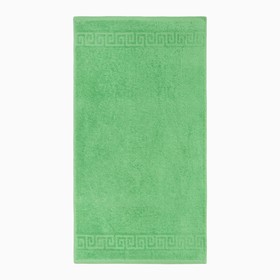 Полотенце махровое с бордюром 50х90 см, классический зелёный, хлопок 100%, 430г/м2 9744867