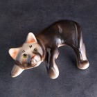 Статуэтка фарфоровая "Кот Васька чёрный", 17 см - фото 319911584