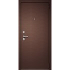Входная дверь «Metix 22», 860×2050 мм, левая, цвет антик медь / бетон снежный - фото 298572171