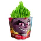 Наборы для выращивания «Вырасти меня» «Тролли. Рокс» (Дой-пак) - фото 36443264