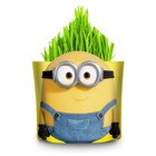 Набор для выращивания «Вырасти меня» «Миньоны» «Отто» (дой-пак) - фото 24693391