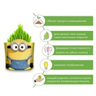 Набор для выращивания «Вырасти меня» «Миньоны» «Отто» (дой-пак) - фото 24693393