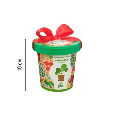 Набор для опытов «Выращивание: Кресс-салат полезный»