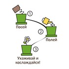 Набор для выращивания «Горшок» «Лаванда ароматная» - Фото 4