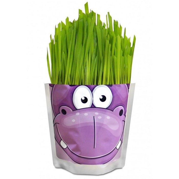 Наборы для выращивания Happy Plant «Бегемот» - Фото 1