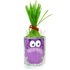 Наборы для выращивания Happy Plant «Бегемот» - Фото 3