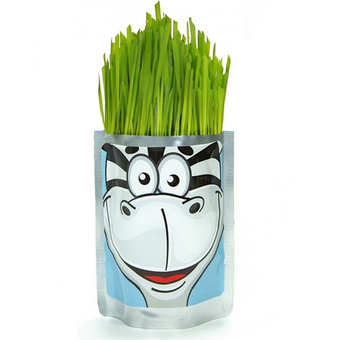 Наборы для выращивания Happy Plant «Зебра» - Фото 1