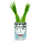 Наборы для выращивания Happy Plant «Зебра» - Фото 2