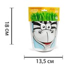 Наборы для выращивания Happy Plant «Зебра» - Фото 4