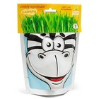 Наборы для выращивания Happy Plant «Зебра» - Фото 5