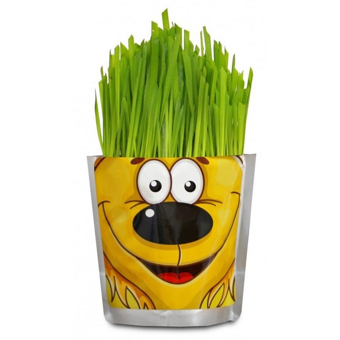 Наборы для выращивания Happy Plant «Львёнок» - Фото 1