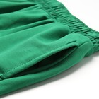 Шорты женские, цвет тёмно-зелёный, размер 44 (M) - Фото 3