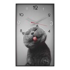 Часы-картина настенные, серия: Интерьер, "Котик", плавный ход, 57 х 35 см, 1 АА - фото 3111177