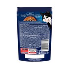 Влажный корм Felix Sensations для кошек, говядина/томат, в соусе, 75 г - Фото 2